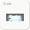 page52.webp